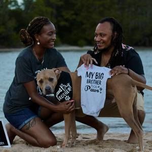 Meet your Posher, Misheal